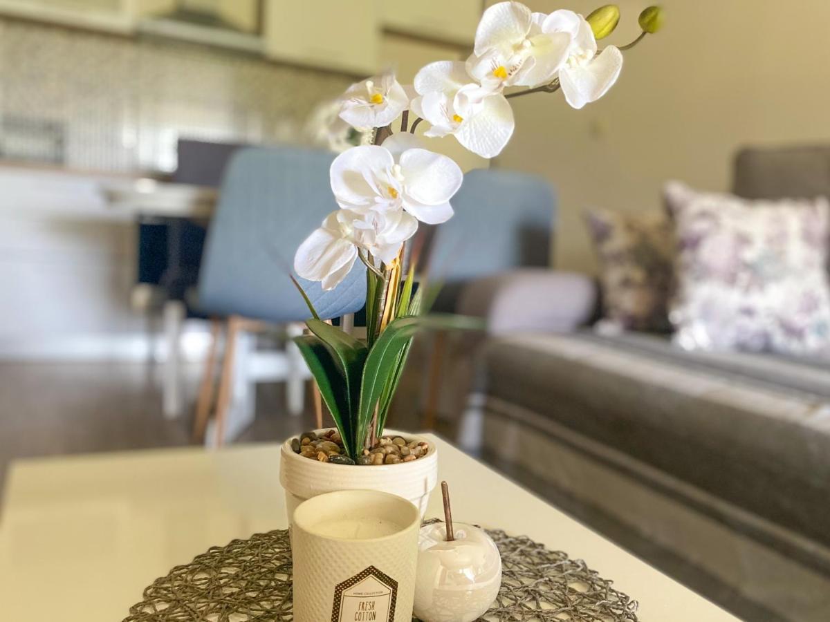 Apartment Laganini Sarica Struga Zewnętrze zdjęcie